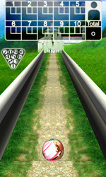 3D Bowling Screenshot 4