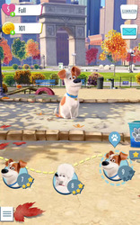 Животные без присмотра Скриншот 2