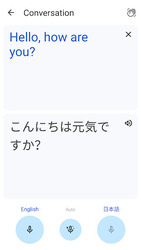 Google Translate Screenshot 5