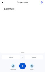 Google Translate Screenshot 8