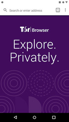 Tor Browser Скриншот 7