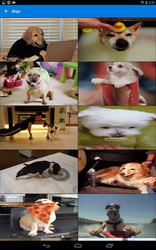 GIF Keyboard by Tenor Скриншот 5