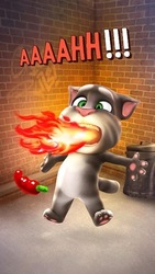 Talking Tom Cat Screenshot 4