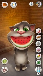 Talking Tom Cat Screenshot 5