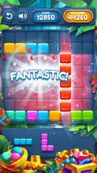 Block Puzzle Infinite Screenshot 5