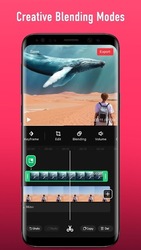 StoryCut - Video Editor & Video Maker Скриншот 7