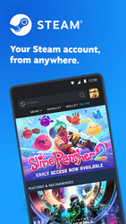 Steam Скриншот 1