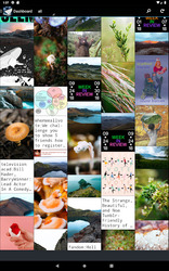 Tumbletail for Tumblr Screenshot 3