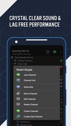 TeamSpeak 3 - Voice Chat Software Screenshot 3
