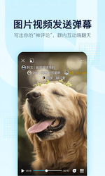 QQ Скриншот 5