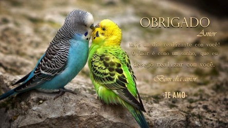 Bom Dia Tarde Noite Semana Amor Screenshot 2