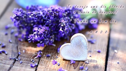 Bom Dia Tarde Noite Semana Amor Screenshot 4