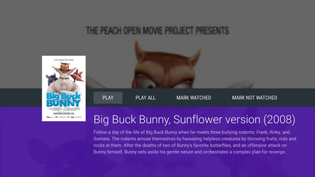 Vimu Media Player for TV Screenshot 3