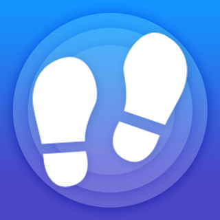 Fine Pedometer Icon