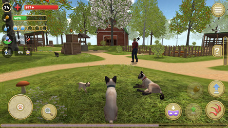 Cat Simulator : Kitties Family Screenshot 1