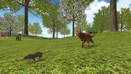 Cat Simulator : Kitties Family Screenshot 4