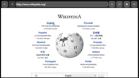 Web Browser for Android TV Screenshot 2