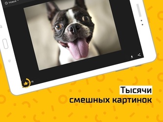 АйДаПрикол Скриншот 7