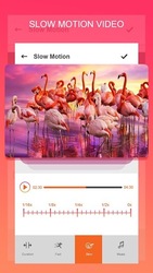 Замедленное видео Скриншот 3