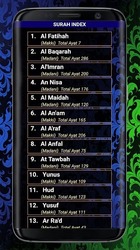 HOLY QURAN (القرآن الكريم) Скриншот 3