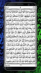 HOLY QURAN (القرآن الكريم) Скриншот 5