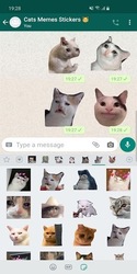 наклейки мем кошки WASticker Скриншот 1