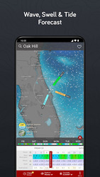 Windy.com - Weather Forecast Screenshot 8