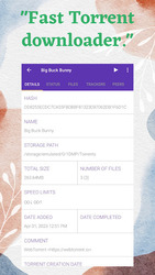 1DM: Browser & Video Download Screenshot 5
