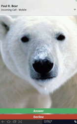 Fongo World Edition Screenshot 7