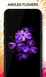 Amoled Pro Wallpapers Скриншот 7