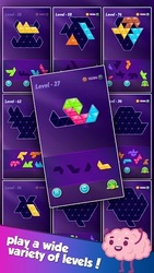 Block! Triangle Puzzle Tangram Скриншот 6