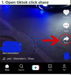 Downloader TikTok No Watermark - DoTik Screenshot 1