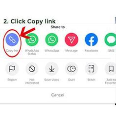 Downloader TikTok No Watermark - DoTik Screenshot 2