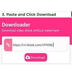Downloader TikTok No Watermark - DoTik Screenshot 3