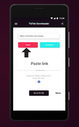 Загрузчик для TikTok без водяных знаков –TikVideo Скриншот 2