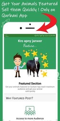 Qurbani App Скриншот 4