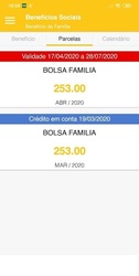 Benefícios Sociais Brasileiros 2020 - Consultas Screenshot 3