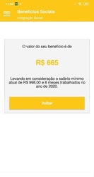 Benefícios Sociais Brasileiros 2020 - Consultas Screenshot 7