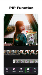 PixArt Video Editor: Video Maker, Edit Pics Music Screenshot 7