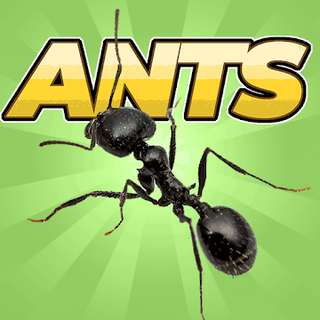 Pocket Ants: Симулятор Колонии Иконка