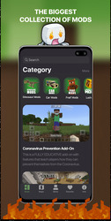 Skins, Mods, Maps for Minecraft PE Screenshot 4