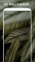 Wallpapers Скриншот 2