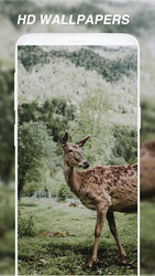 Wallpapers Скриншот 3