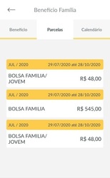 Benefício Família 2020 - Consulta e Parcelas Screenshot 4