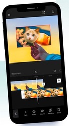 Guide For Capcut | Viamaker - Video edito Tips Screenshot 8