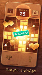 Woodoku - Wood Block Puzzle Screenshot 3