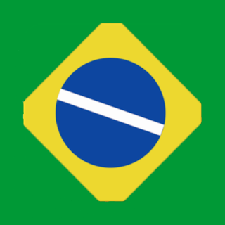 Eleições 2020 Icon