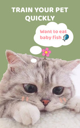 Pet Talking Screenshot 1