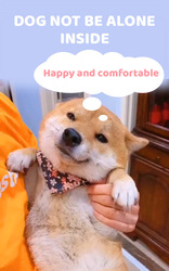 Pet Talking Screenshot 2