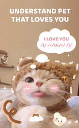 Pet Talking Screenshot 4